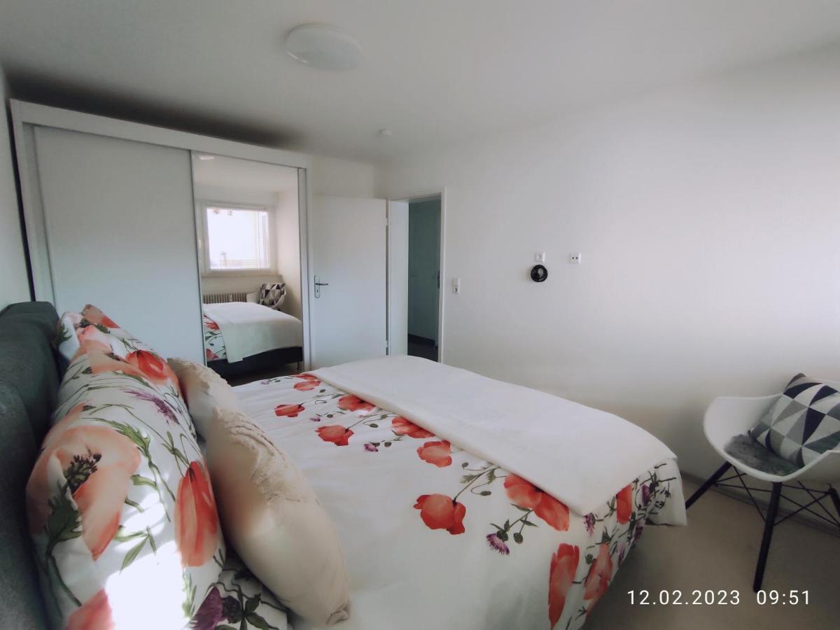 Apartment "Waldblick" - 77 Qm, 2 Schlafzimmer, Direkte S-Bahnverbindung Nach Basel, Schweiz Maulburg المظهر الخارجي الصورة